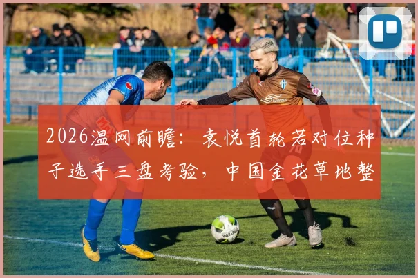 2026温网前瞻:袁悦首轮若对位种子选手三盘考验,中国金花草地整体竞争力诊断