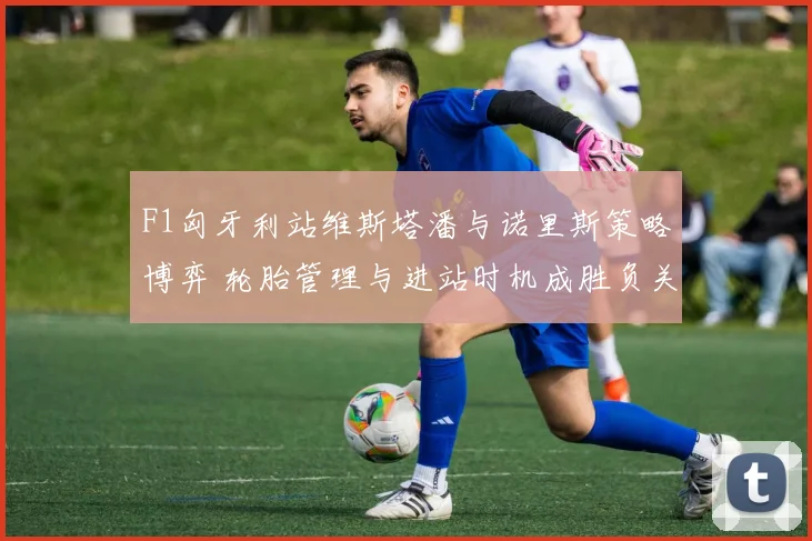 F1匈牙利站维斯塔潘与诺里斯策略博弈 轮胎管理与进站时机成胜负关键