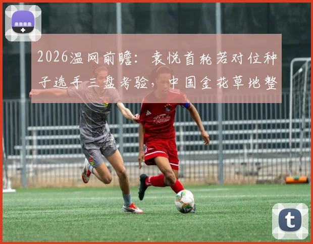 2026温网前瞻：袁悦首轮若对位种子选手三盘考验，中国金花草地整体竞争力诊断